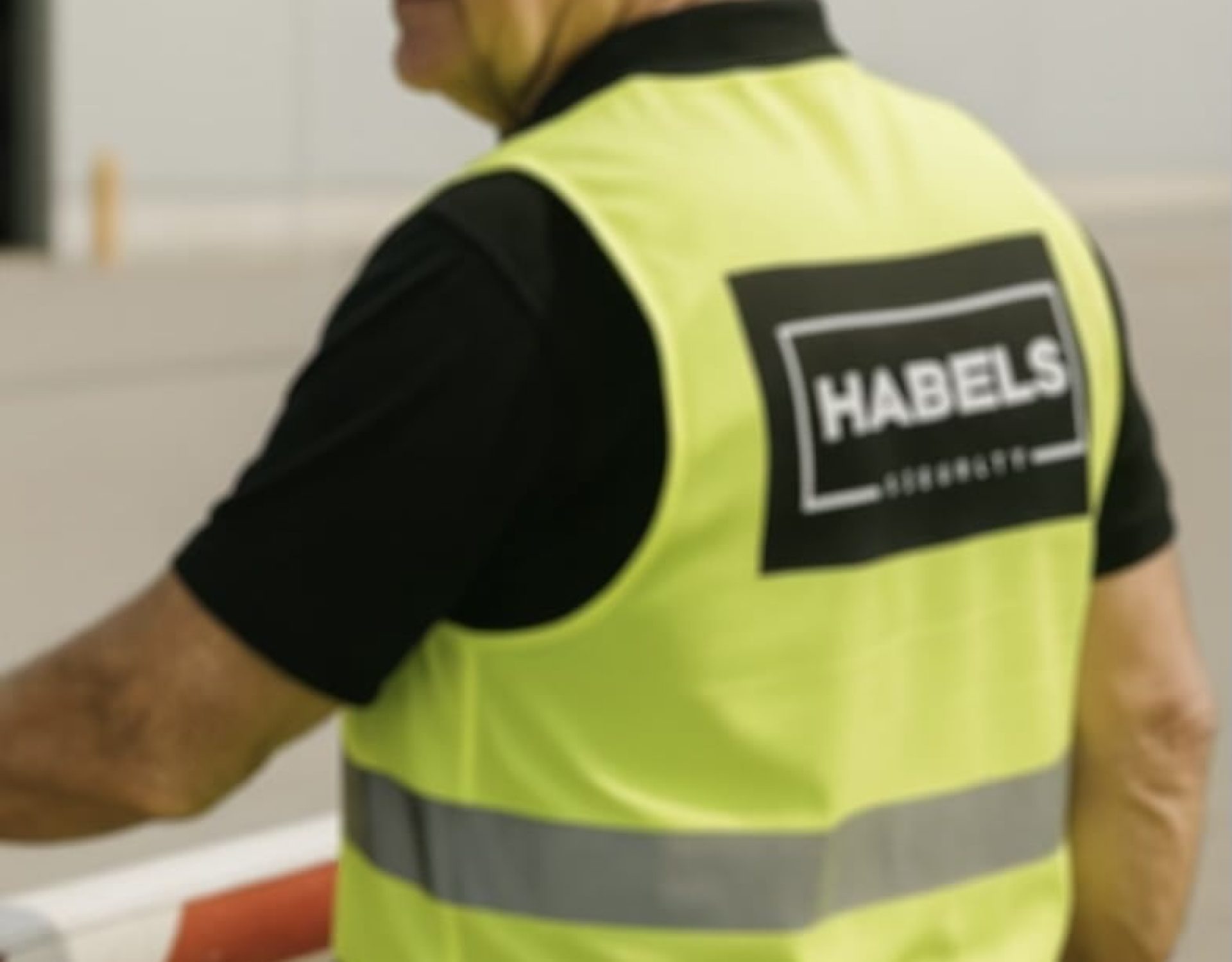 habels-security-1