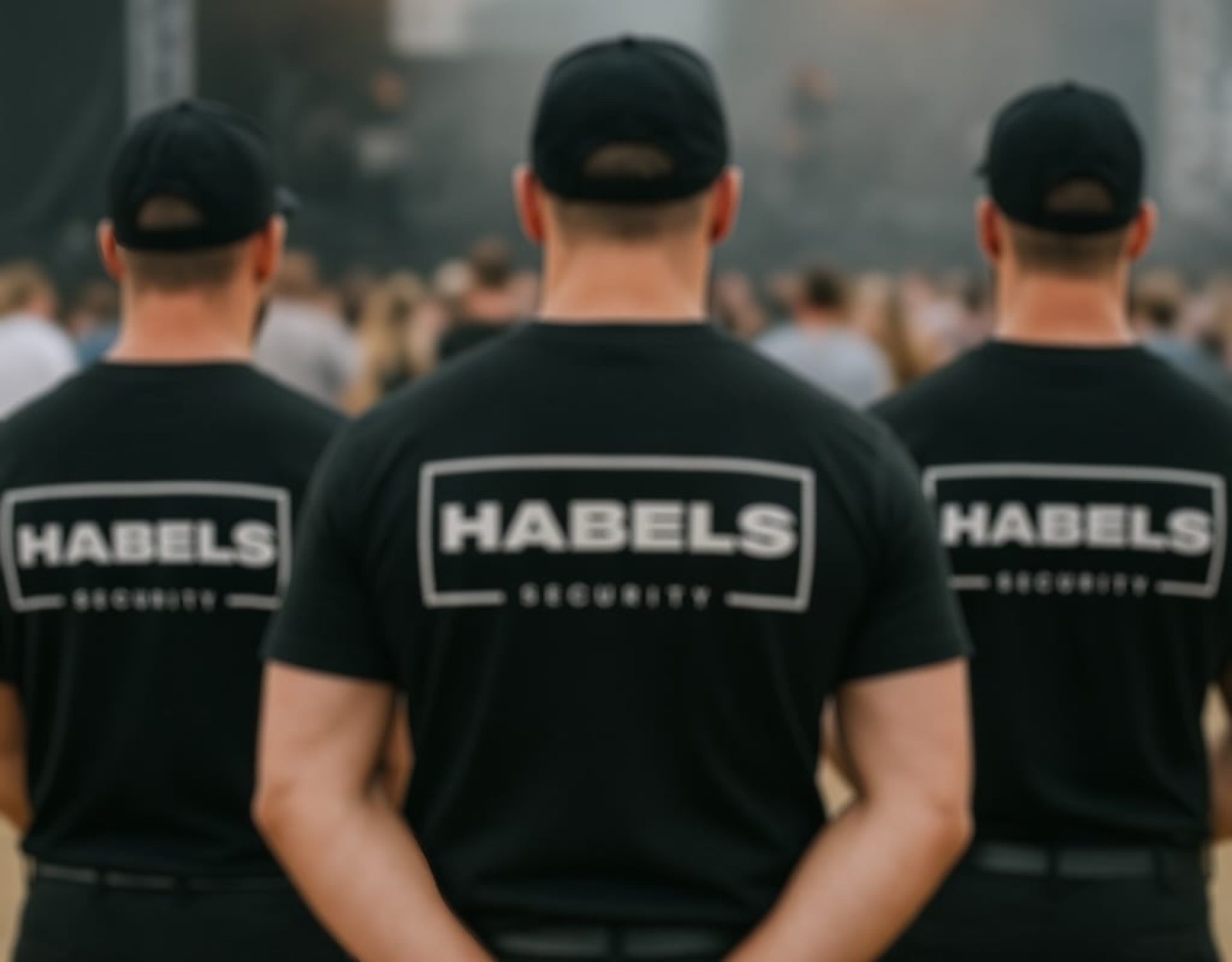 habels-security-5